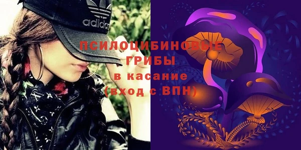 твердый Елабуга