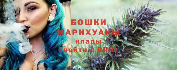 твердый Ельня