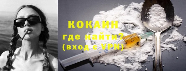 твердый Ельня