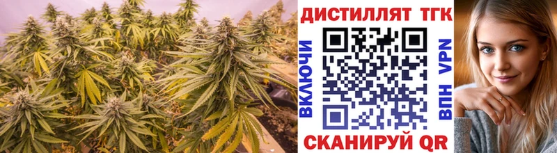 где можно купить   Кедровый  мега как войти  Дистиллят ТГК жижа 
