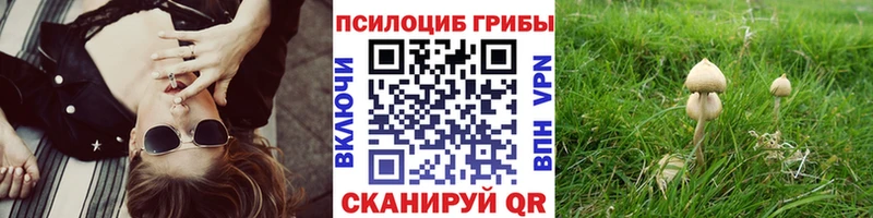 Псилоцибиновые грибы MAGIC MUSHROOMS  купить закладку  Кедровый 